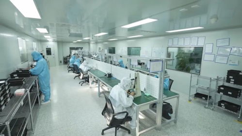 科技強國 創(chuàng)新在吉林發(fā)力，重點產(chǎn)業(yè)科技創(chuàng)新助推創(chuàng)新型省份建設(shè)